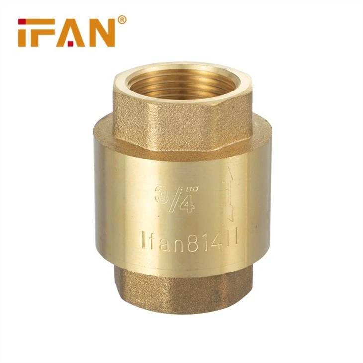 check valve (2)