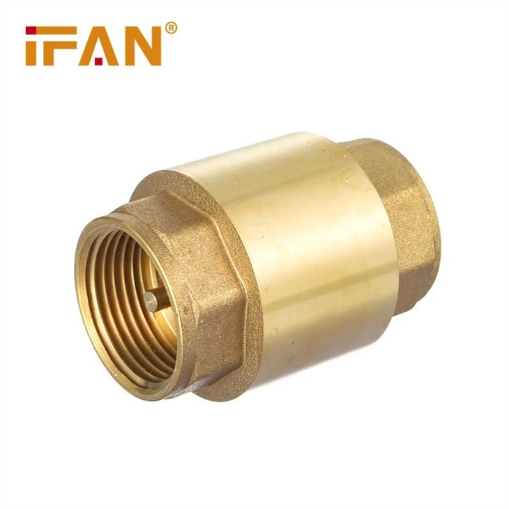 check valve (4)